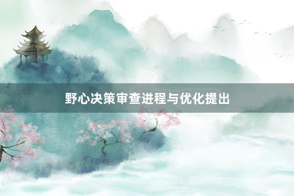 野心决策审查进程与优化提出