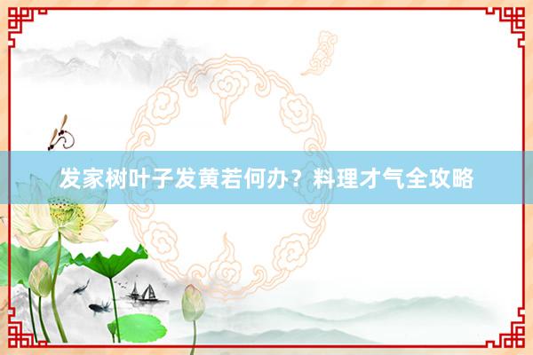 发家树叶子发黄若何办？料理才气全攻略
